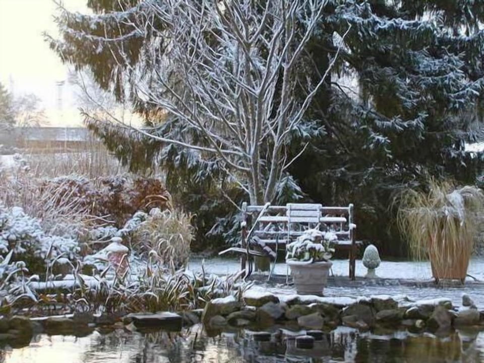 winter