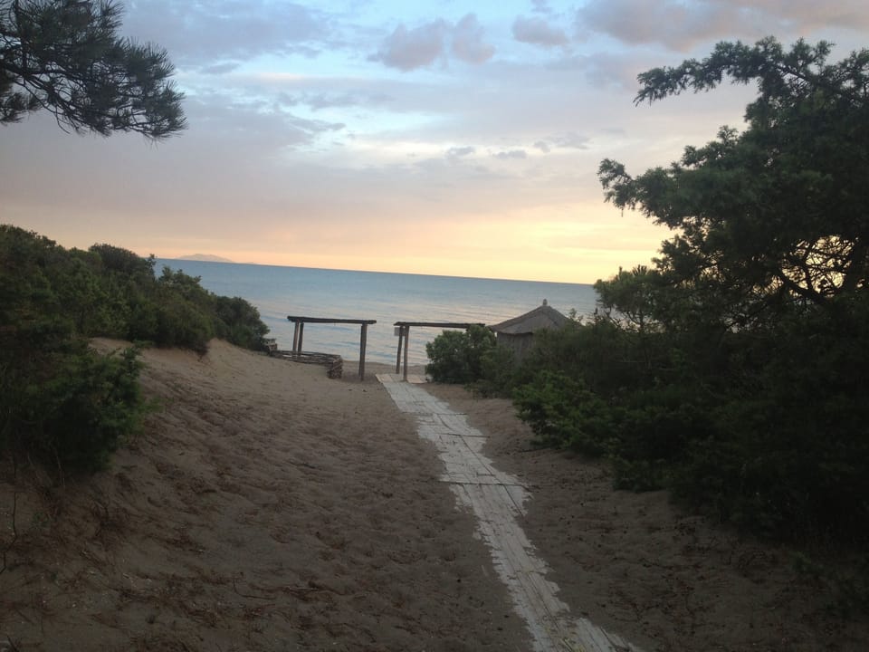 beach path sunset