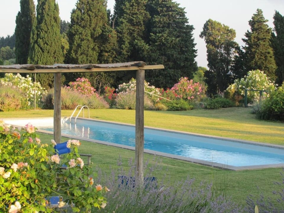 The pool area, the swimming pool is 16x4 meters large 