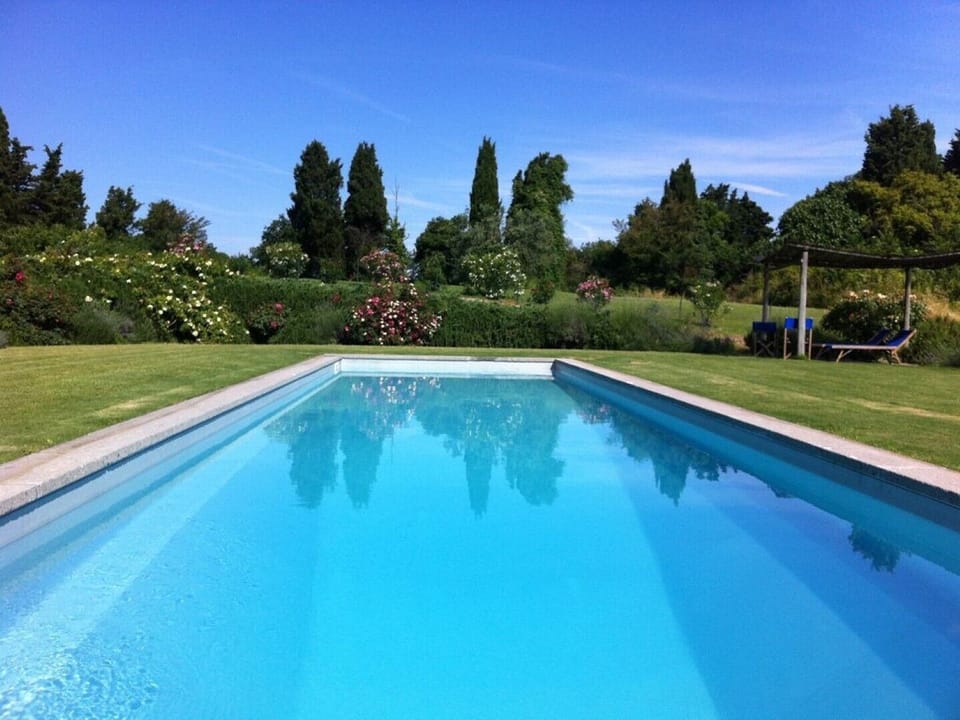 Another view of the pool, 16x4 meters