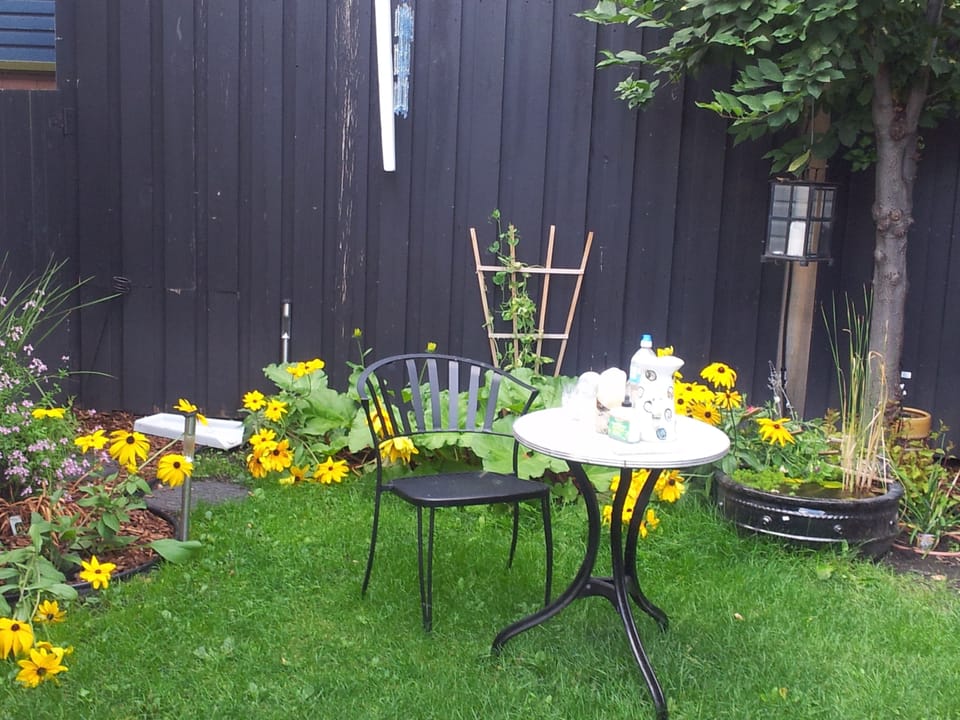 Lovely courtyard garden for BBQ's and morning coffee.