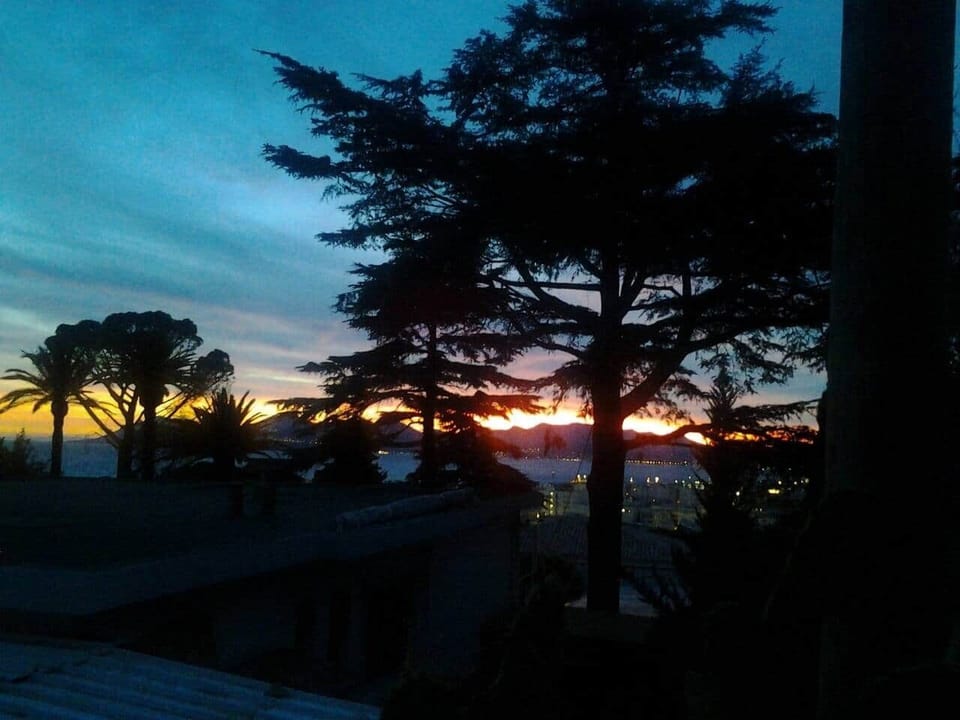 vue du jardin feu d'artifices visible
