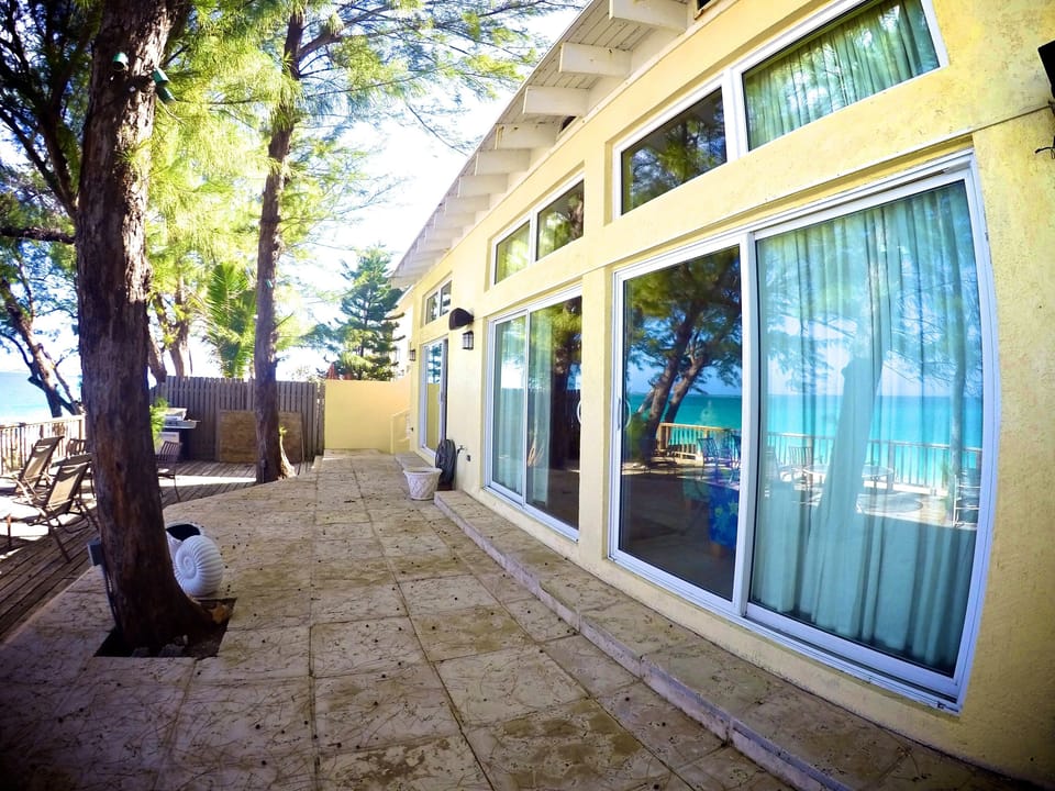 So much natural light will make this unit feel like a private island.