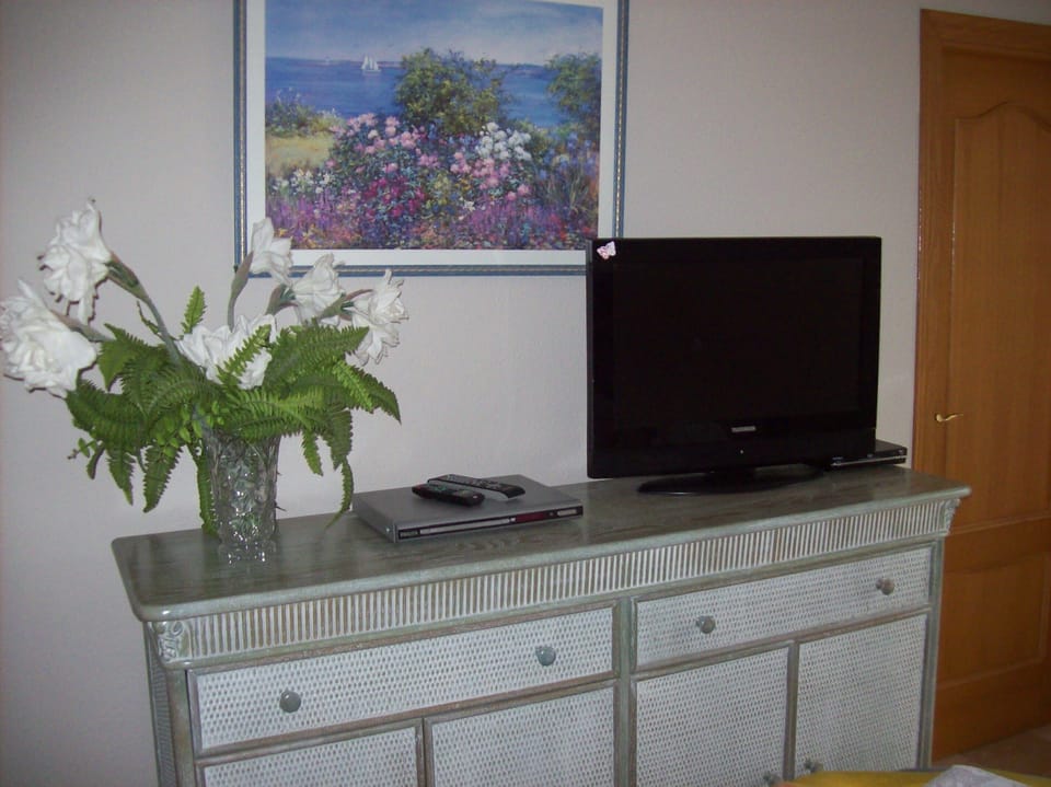 Television