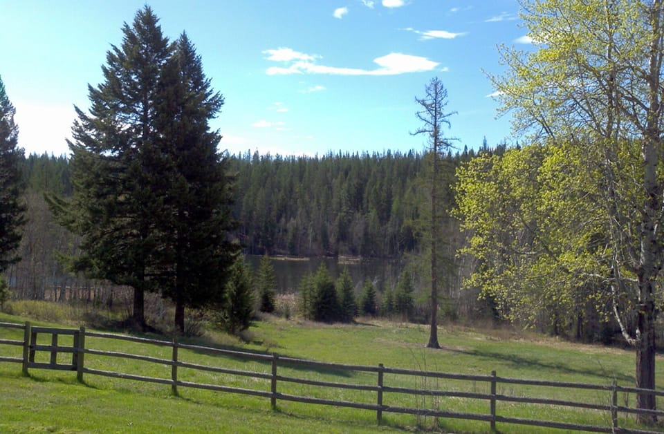 View of pond from porch
