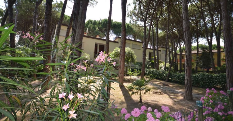 external view