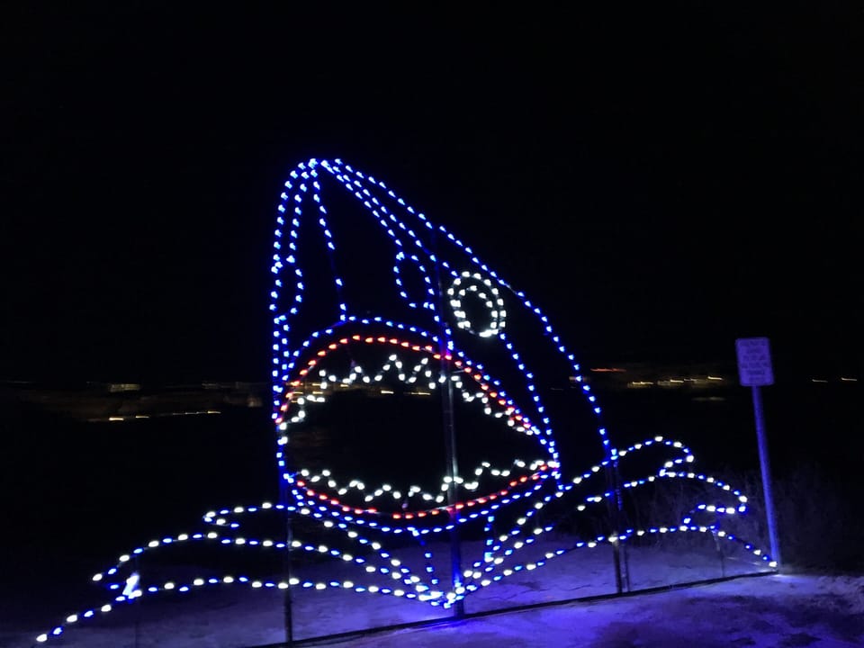Enjoy the light displays at  Winterfest!!