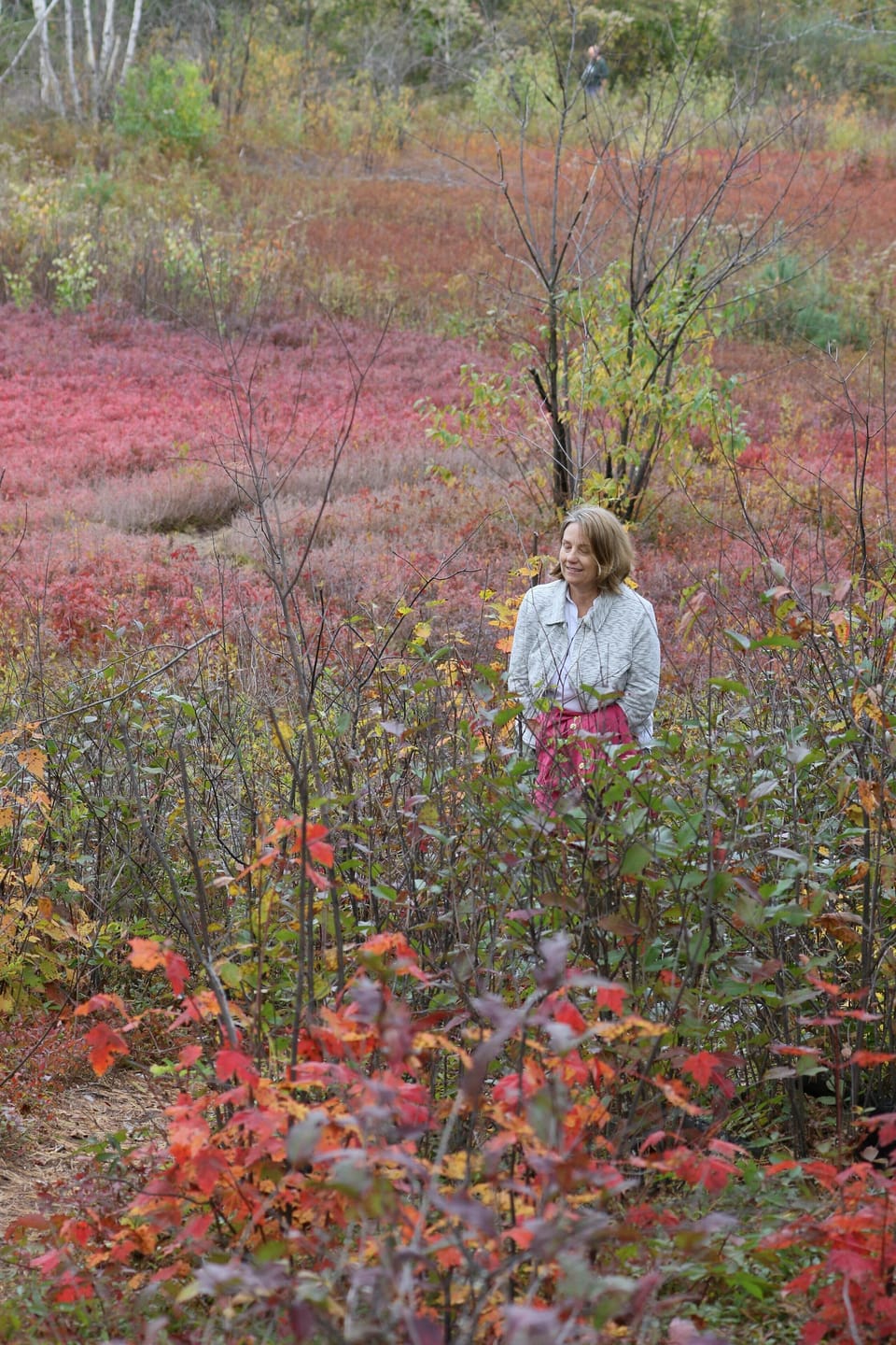 Walking the Robert Frost Interpretive Trail

