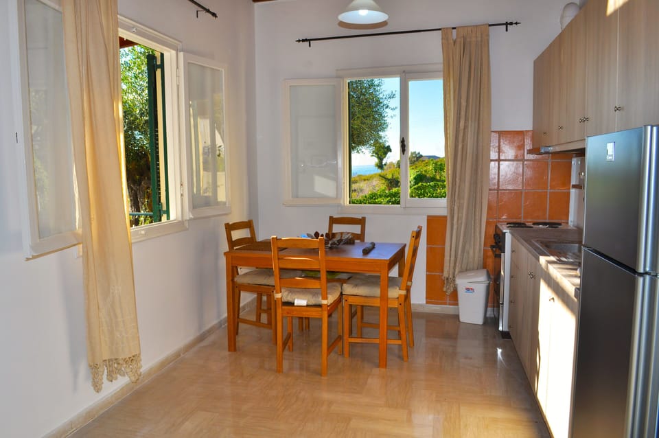 Electric stove, extractor hood, fridge and freezer, coffee maker, etc.