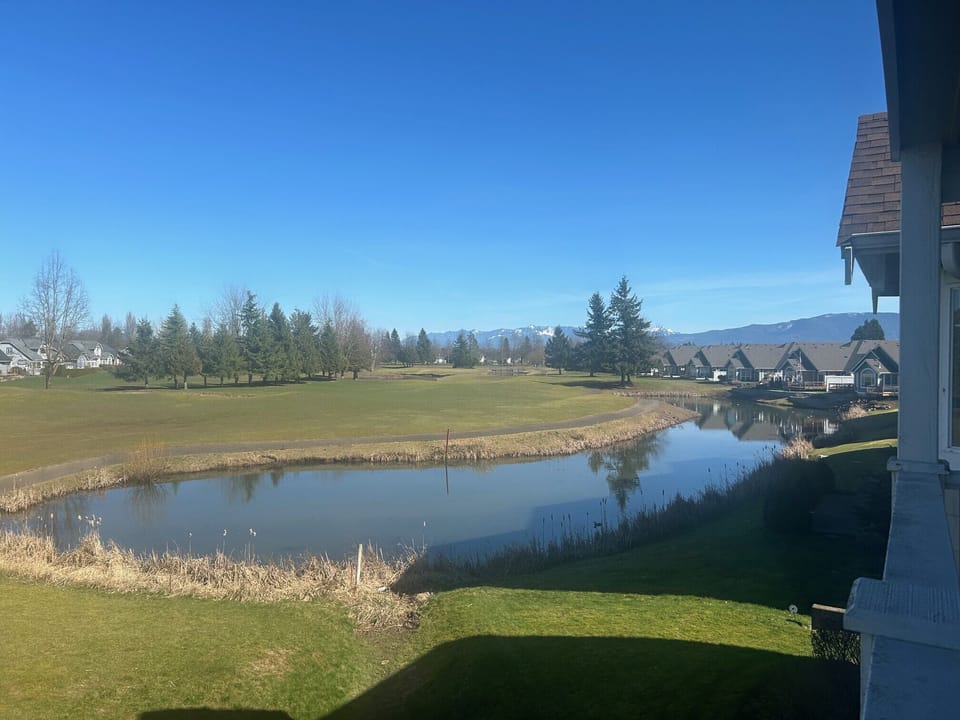 View from back deck.