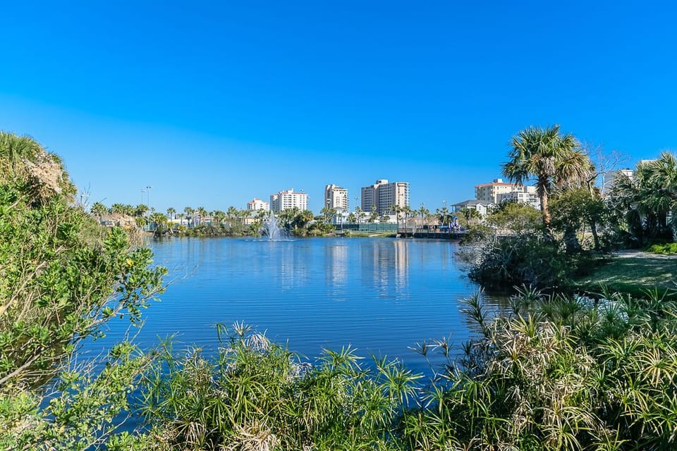 Huguenot park