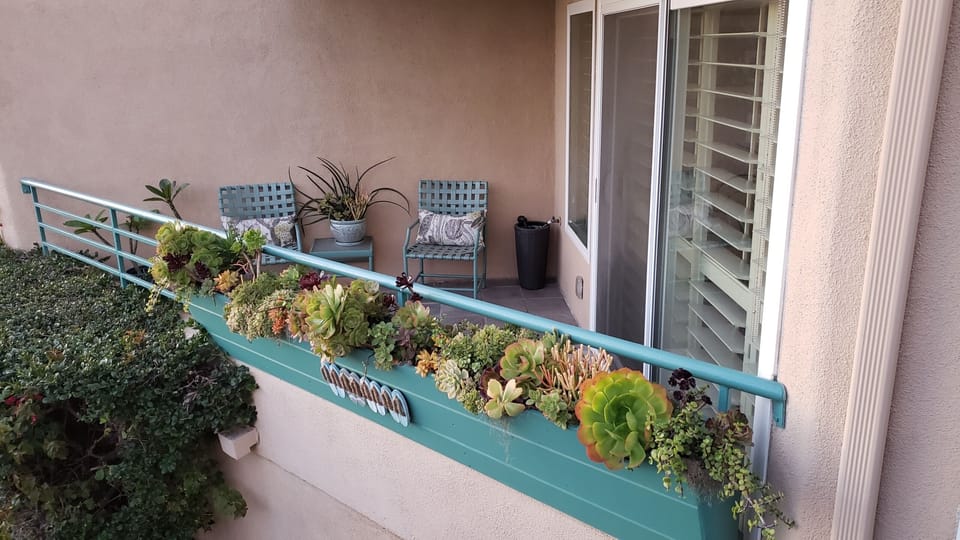 Succulent Planter