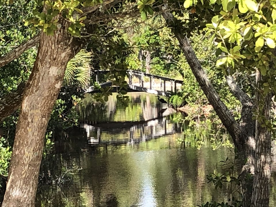 A view from Gulf Pines Dr on the way to the Beach Trail