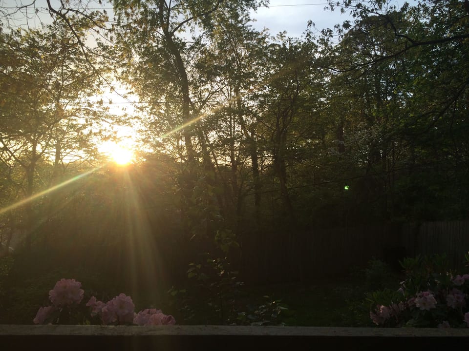 Sunset View From the 3-Season Room...