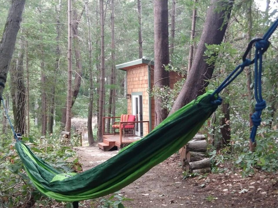 Hammock next to Casita