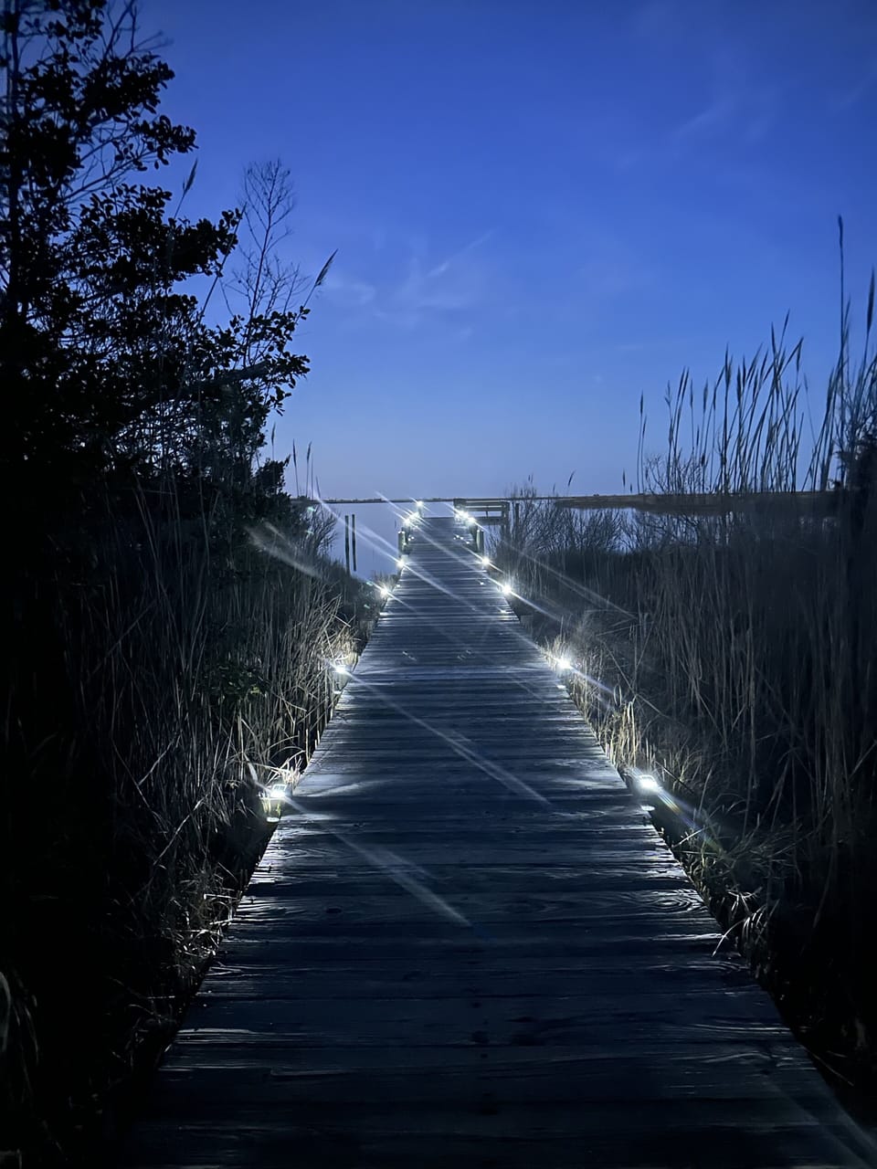 Lighted dock 