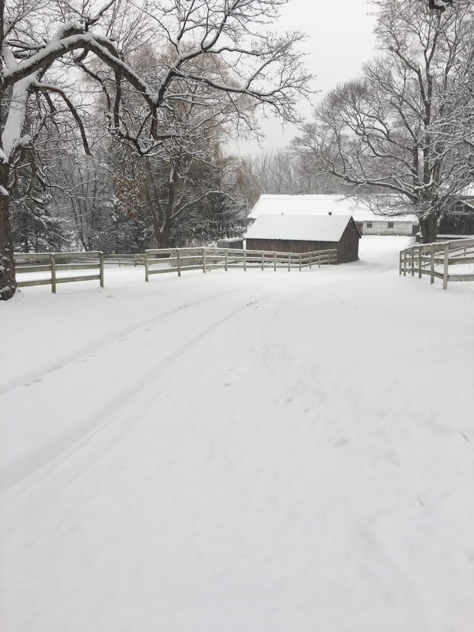 Gorgeous views on a snowy day!