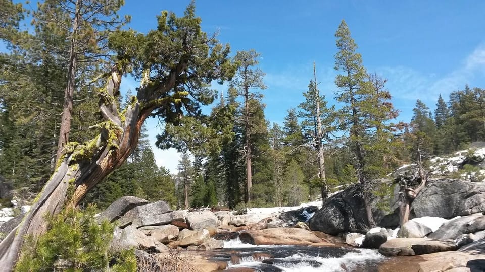 The Stanislaus River is just minutes away from Karock Cabin.   Fish, picnic, play in the water, relax on a rock and enjoy the scenery.