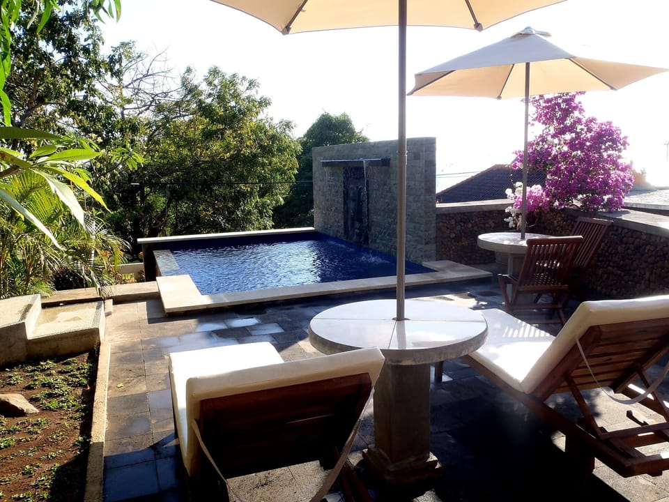 Pool and sun lounges