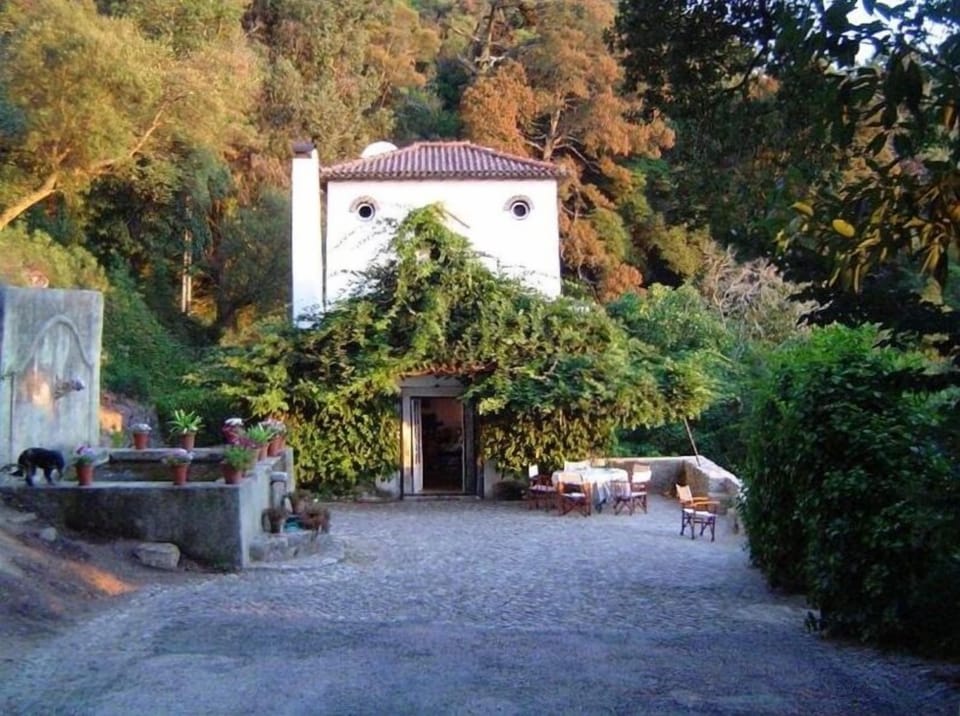 Quinta da Boiça