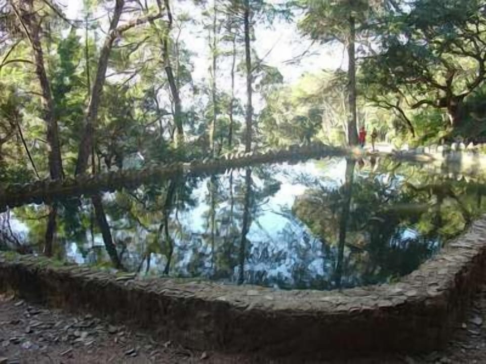 Pond 
