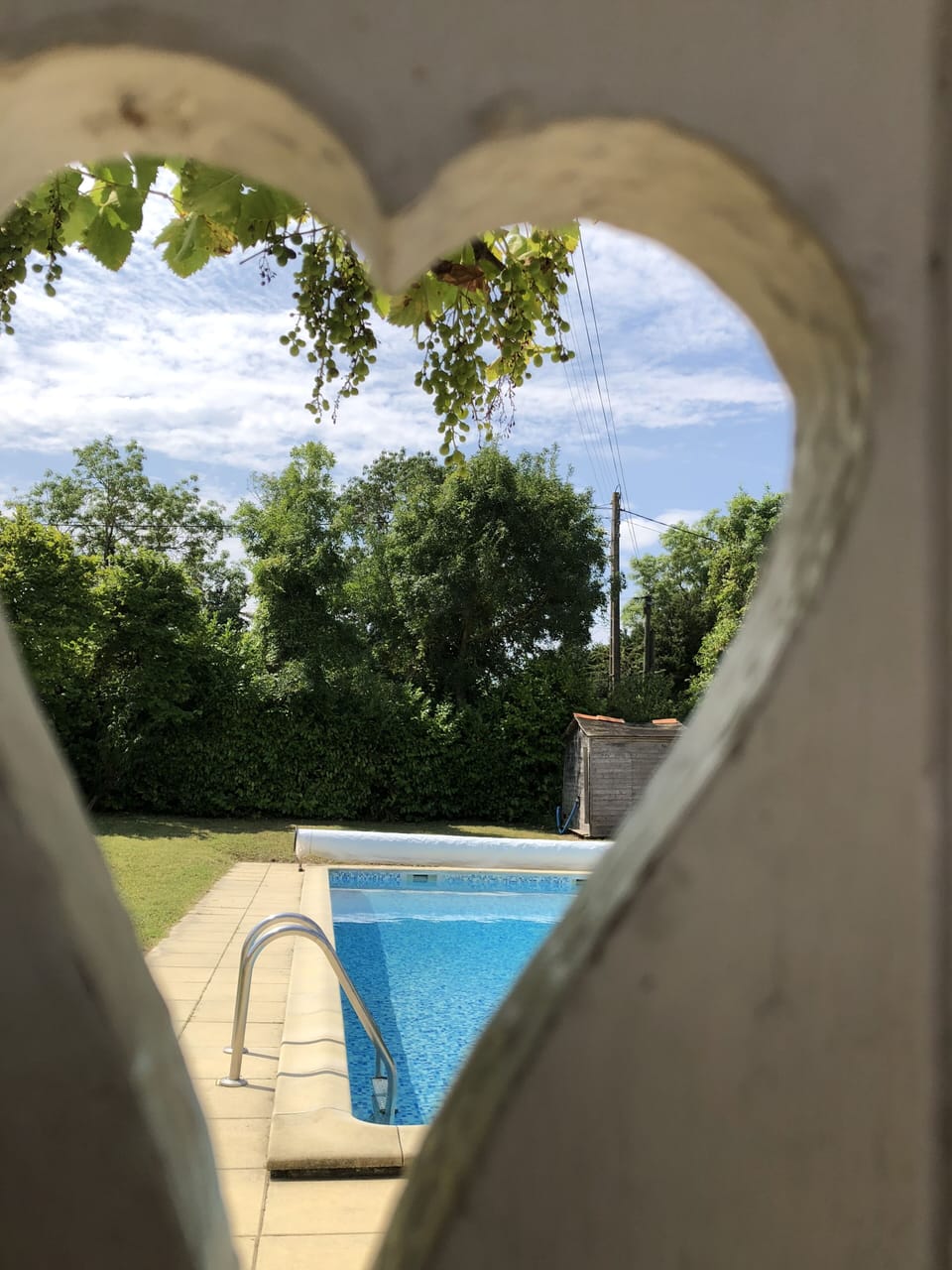 Small children can look but can't get into our pool area without an adult 