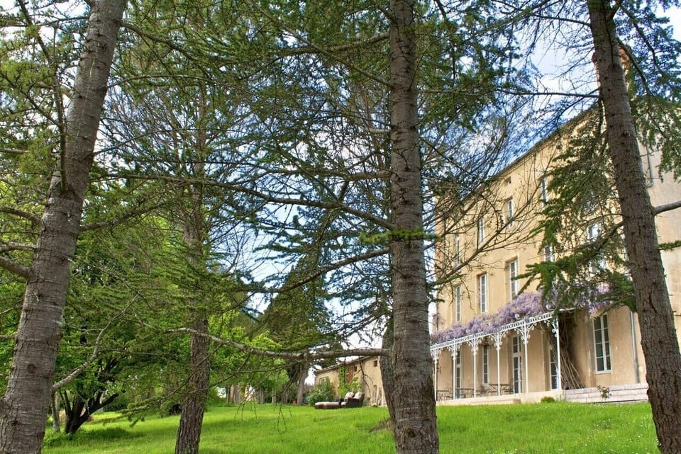 Views of the château