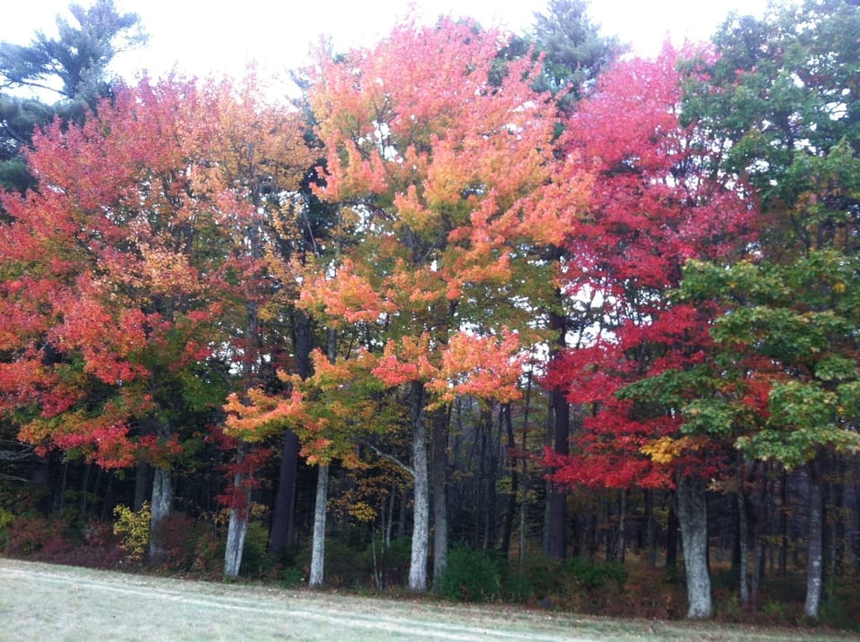 Beautiful in the Fall!
