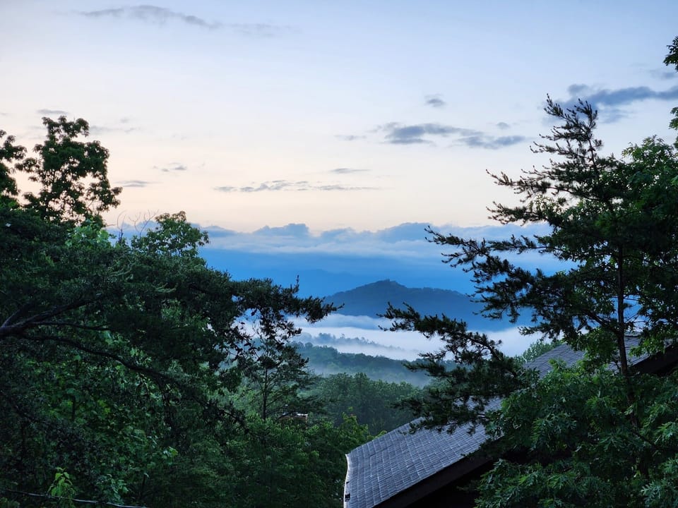 Outdoors, Shelter, Tree, Vegetation, Landscape