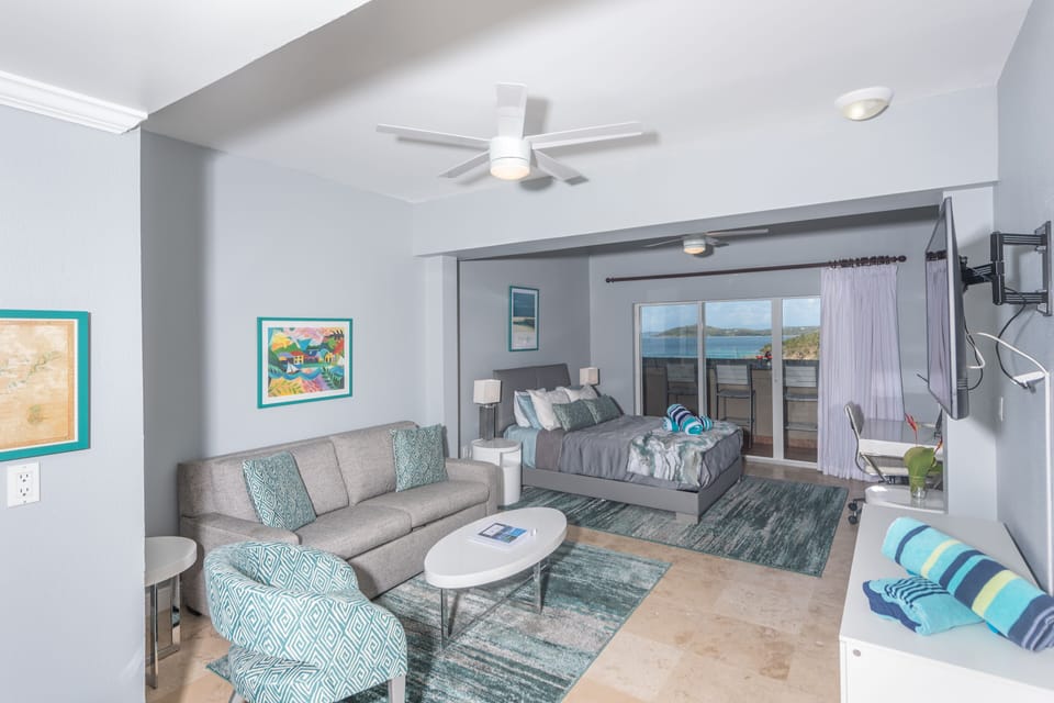 Spacious studio with cathedral ceilings & new queen bed and new queen sofa bed.