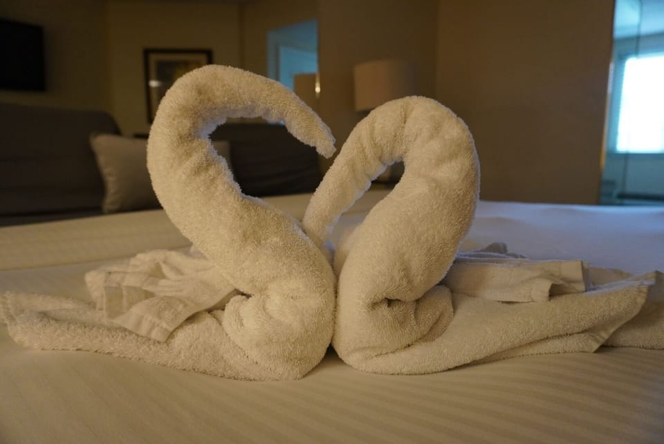 Bed, Furniture, Towel, Hardwood, Floor