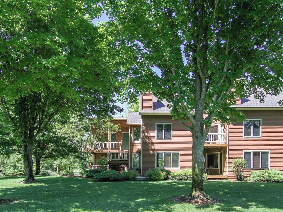Grass, Tree, Building, Tree Trunk, House