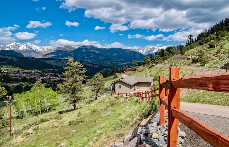 Nature, Outdoors, Tree, Fir, Countryside