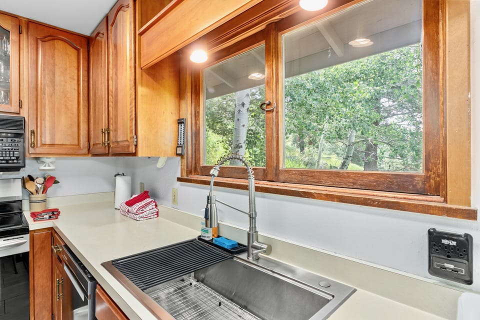 Sink, Sink Faucet, Indoors, Kitchen, Window