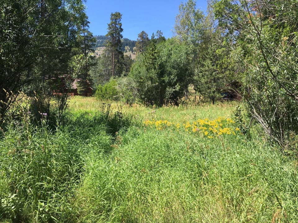 The view to the mountains from the back patio.