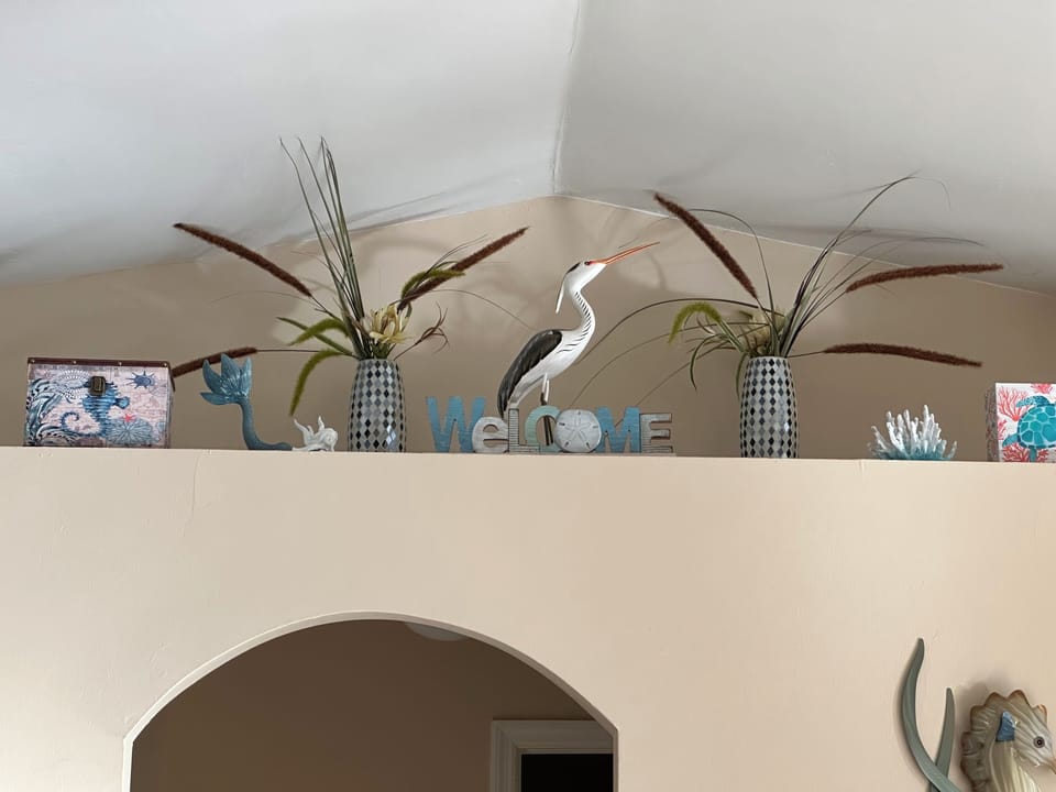 Decorated plant shelf with a remote to turn the lights on at night. 