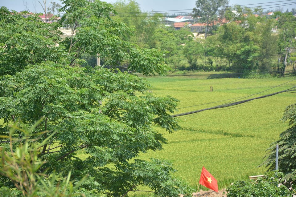 Deluxe Double Room-Garden View