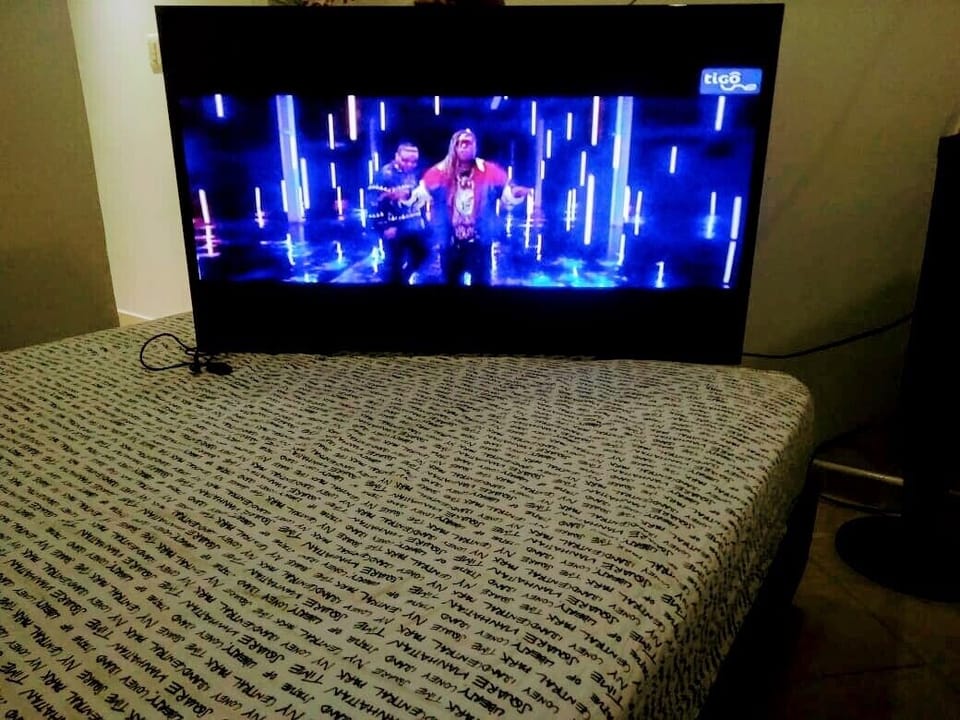Television