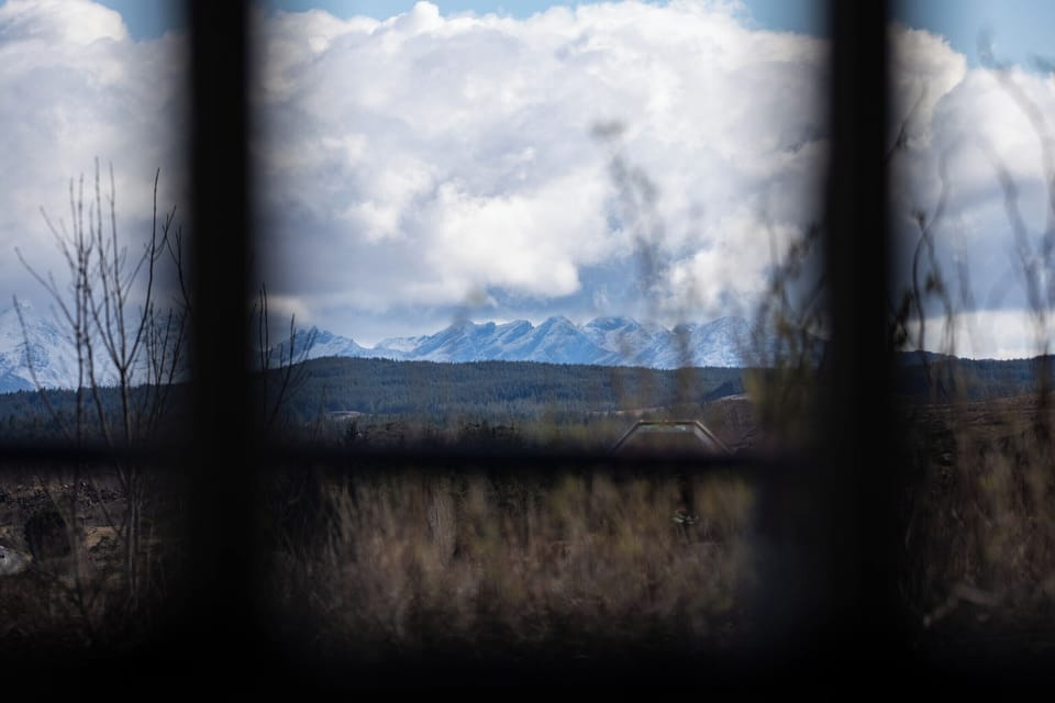 View from living room window 