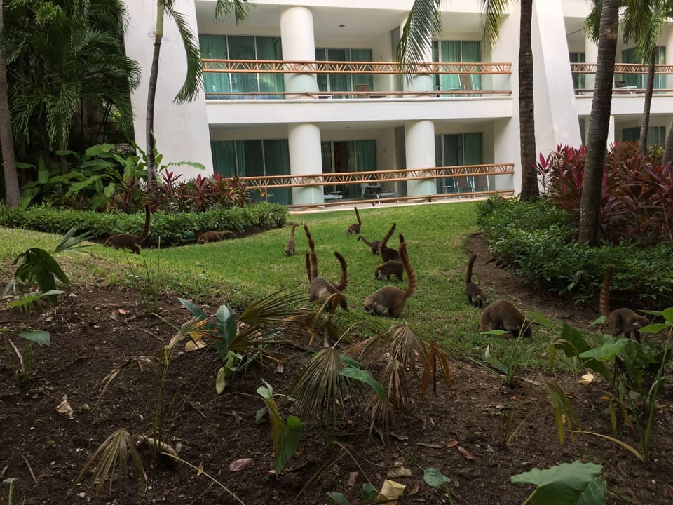 Property grounds