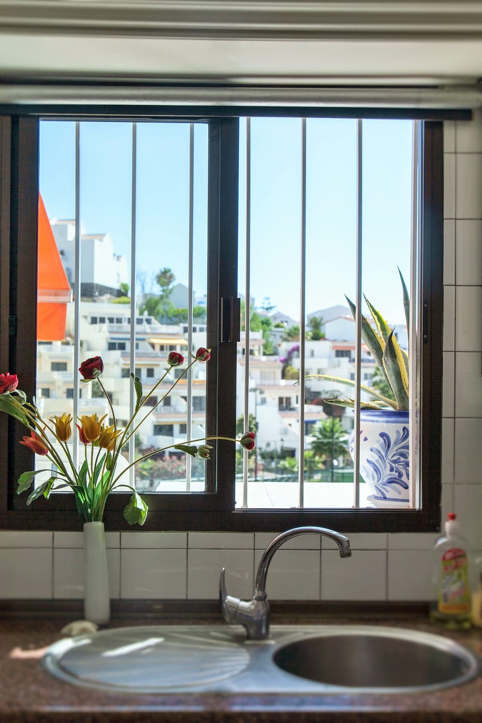 View from the kitchen 