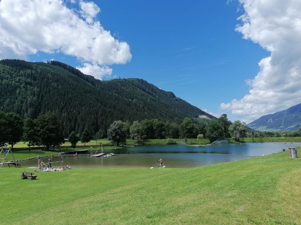Double room 1-2 persons - Spa Burgwies, bed and breakfast Bed and Breakfast in Salzburgerland