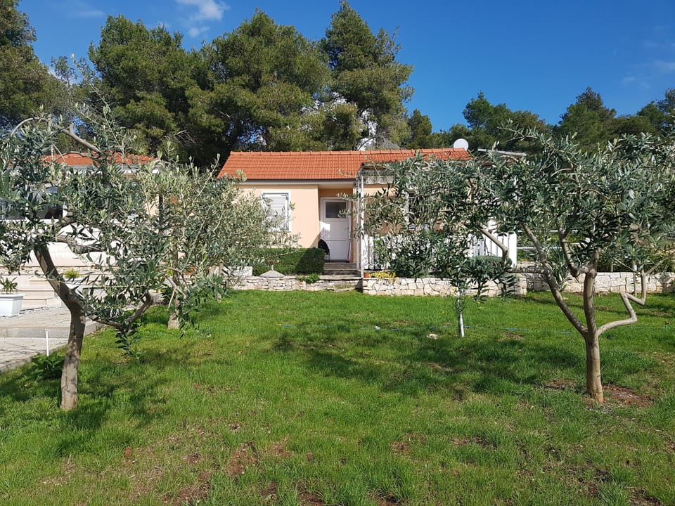 House and surroundings