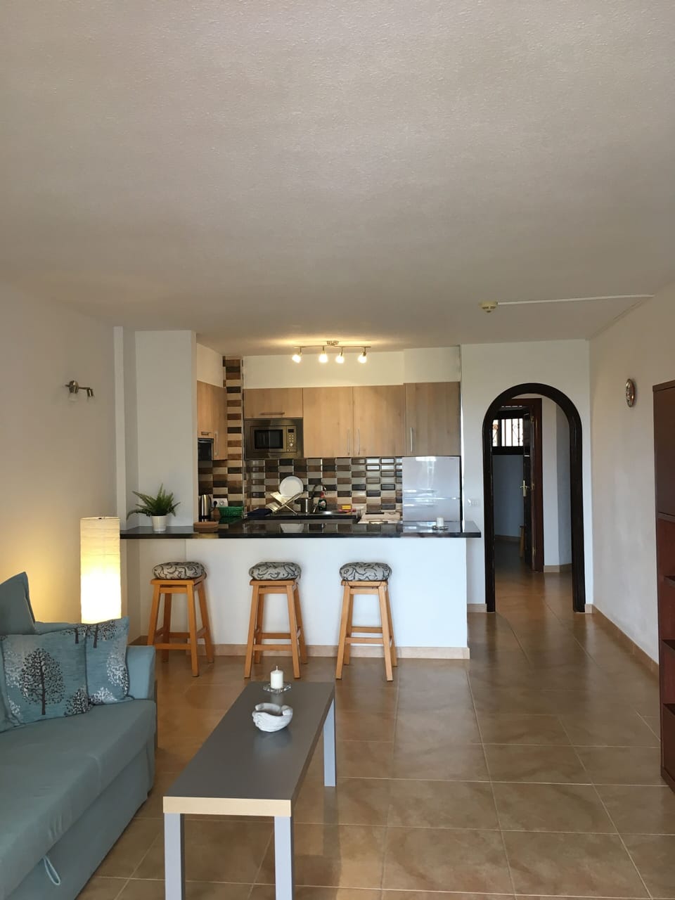 Living room and kitchen