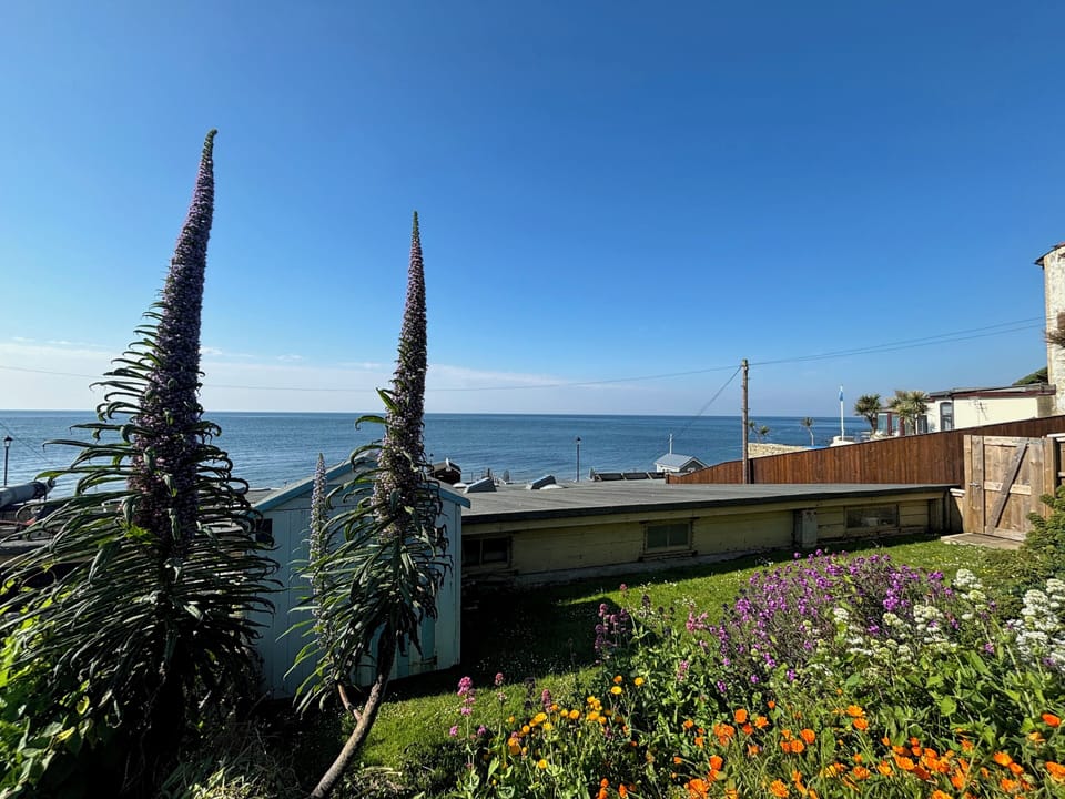 Our garden is always open for guests to use and has stunning views