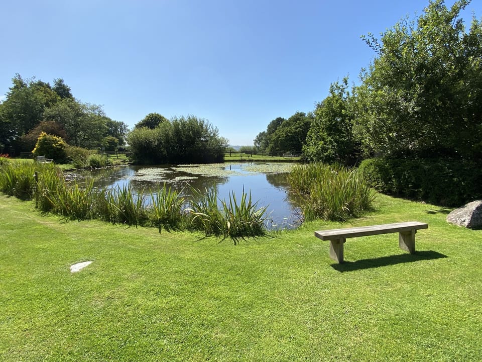 Trehill cottages tranquil, well stocked main fishing pond
