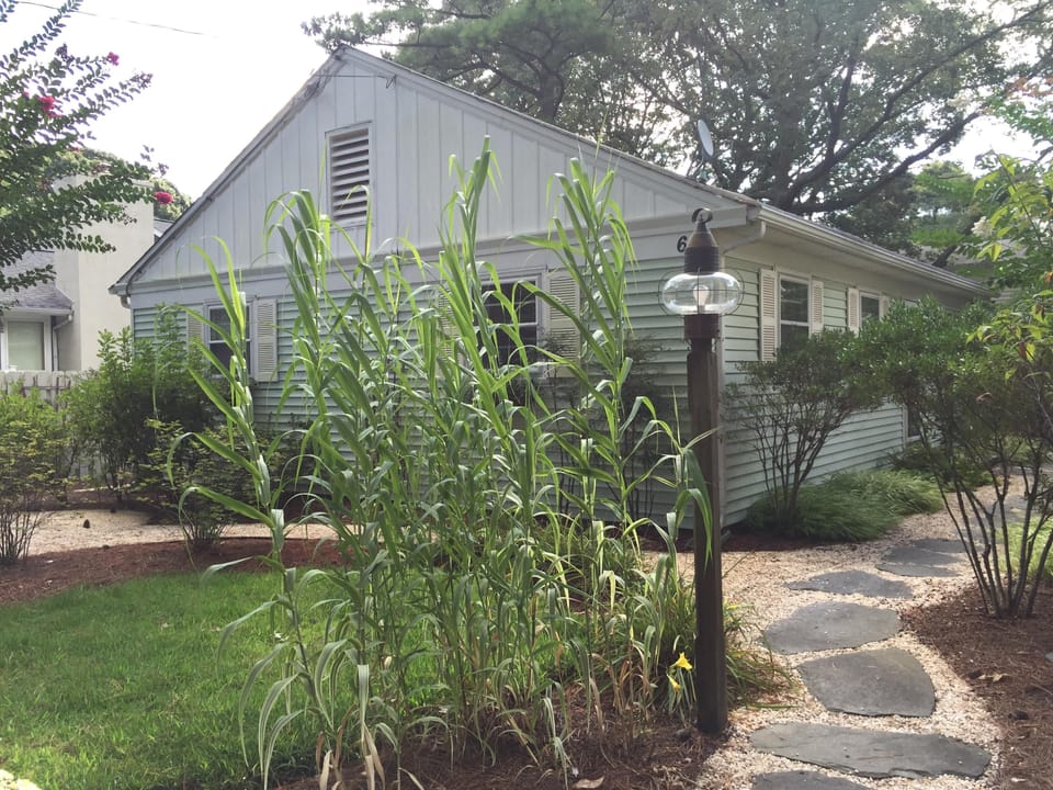 The front of our cottage 