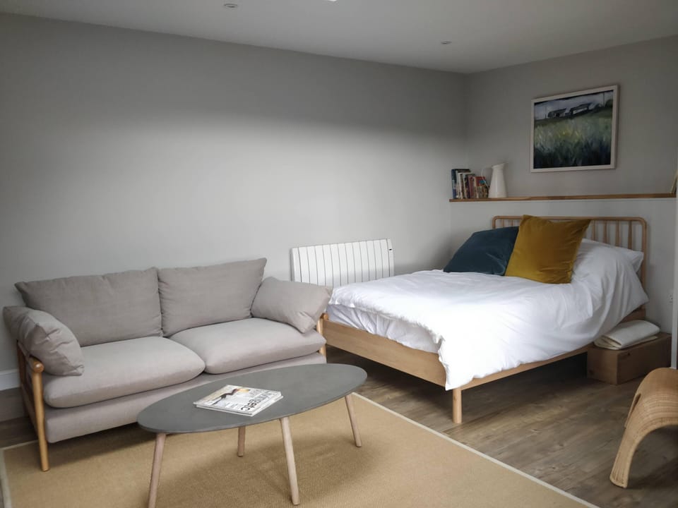 Main Living/Sleeping Area