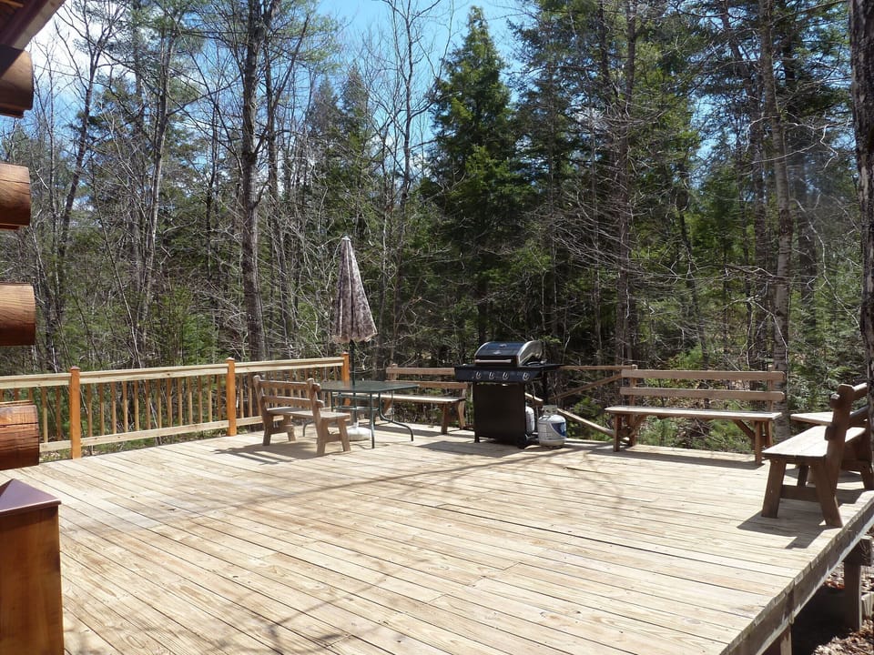 Enjoy the quiet on Back Deck surrounded by  Forest and Brook