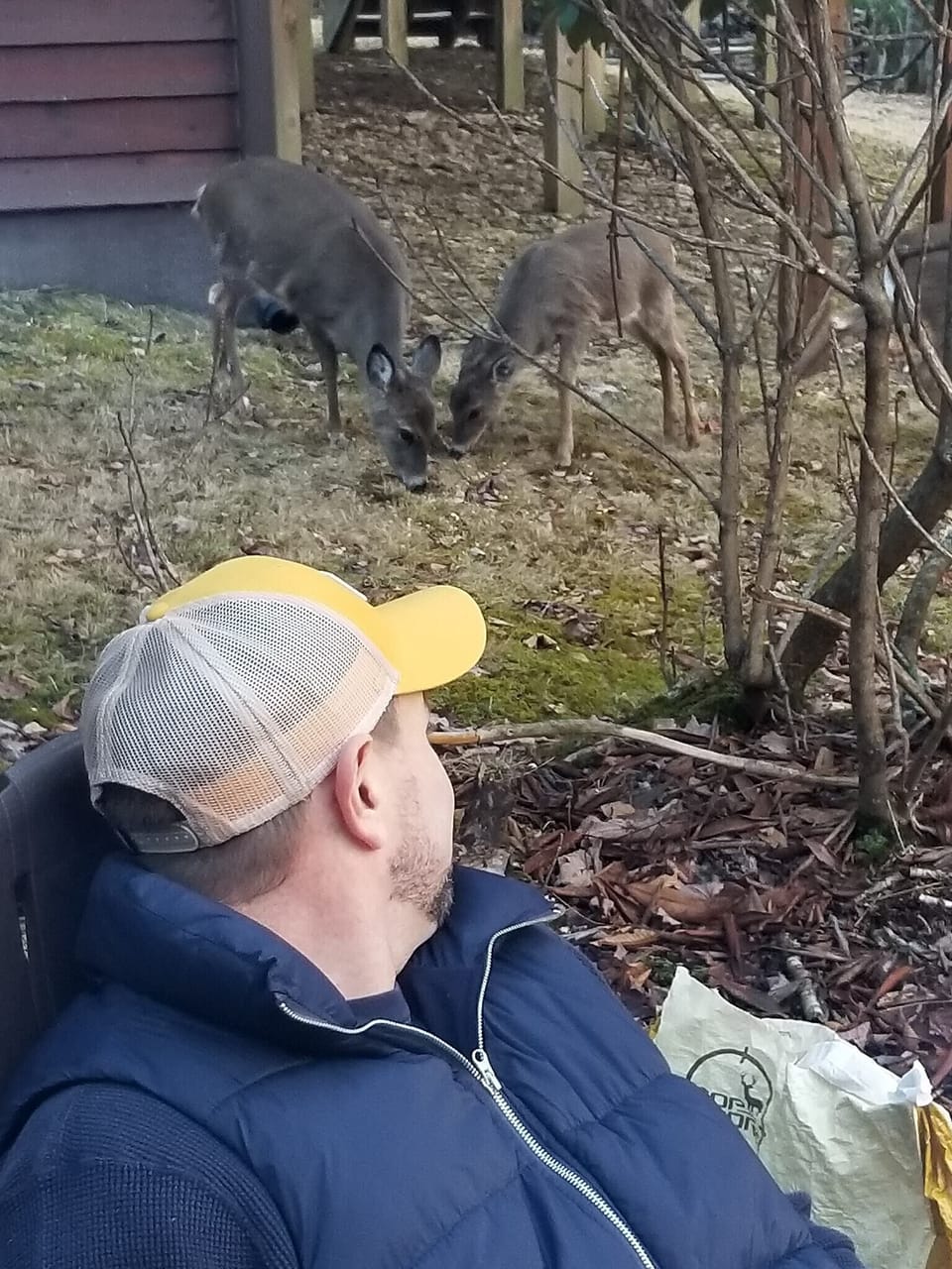Our Deer Friends